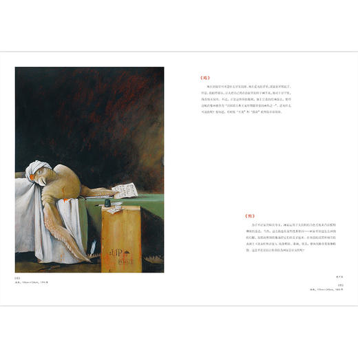 魔法象·图画书王国  动物肖像大书 商品图2