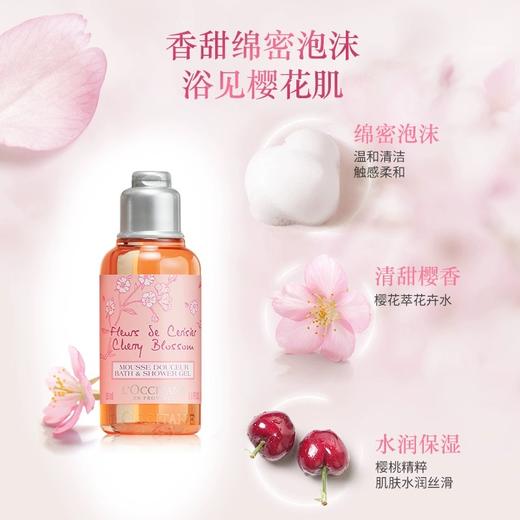 【小样】欧舒丹甜蜜樱花香氛亮采润肤乳/沐浴啫喱35ml 清甜樱花香光滑嫩肤 102314/102315 商品图1