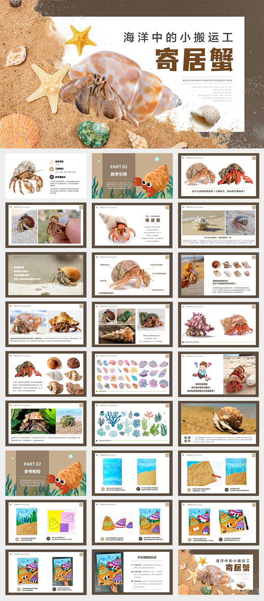 《壳中奇缘：探秘寄居蟹的世界》手工/低幼/粘土/线描/海洋/自动发货：下单后，点击手机短信中收到的链接，即可获取文件下载的链接；如有任何问题，可添加客服微信hm33268获得帮助。 商品图2