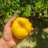 【超模君严选 顺丰发货！】山西黄金蟠桃 现摘现发 桃肉脆嫩 果肉细腻无渣 浓郁香甜 饱满多汁 软硬两吃 商品缩略图5