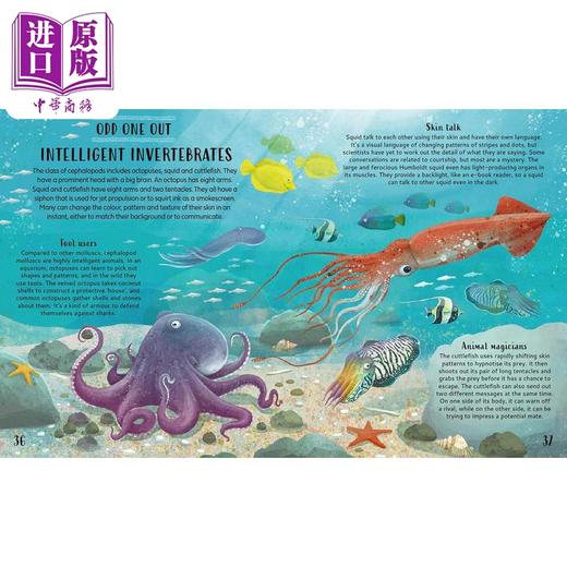 【中商原版】整理动物 对动物世界进行分类 Get Your Animals in Order 英文原版 儿童科普绘本 自然科学知识百科图画书 精装 商品图2