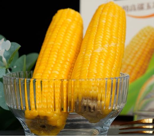 【BF】率鲜达黄糯鲜玉米2支装（200g*2） 商品图1