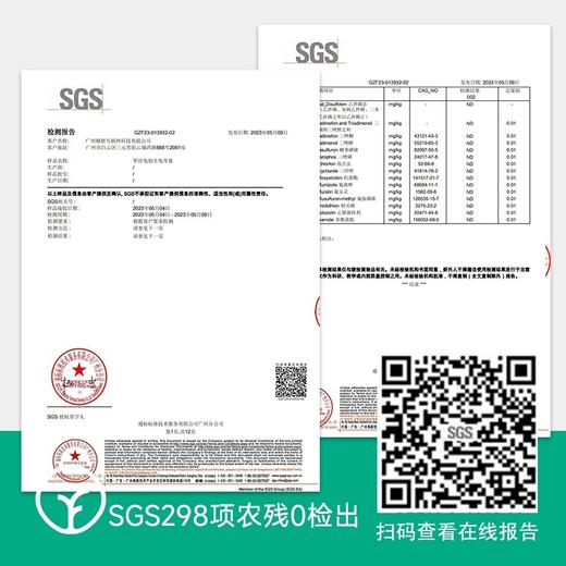 【通过远方298项检测 可以吸的龟苓膏】广东罗浮山特产 十年老草龟+九味天然草本18小时熬制 天然健康0脂肪200g*6瓶/箱 商品图3