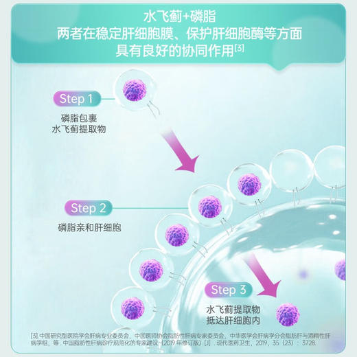 【效期2025年9月】一心堂水飞蓟养肝葛根护肝片胶囊奶蓟草保护化学性肝损伤成人 商品图4