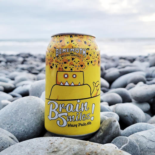 【冷库储存】新西兰比萌巨兽脑海里的微笑浑浊淡色艾尔5.4%vol 商品图4