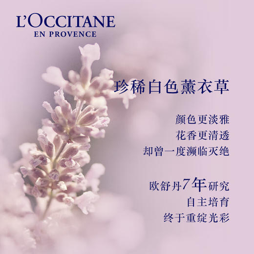 欧舒丹白色薰衣草香氛沐浴露250ml/117937 淡雅伪体香浴享松弛感 商品图3