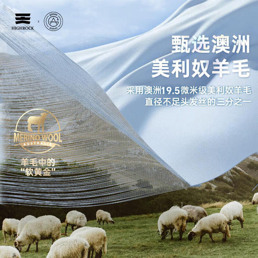 天石鹅铠甲春秋美利奴羊毛T恤男士长袖圆领薄款户外休闲运动训练G203 商品图4