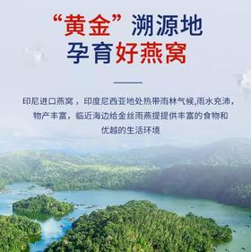 【原产地溯源】印尼雨季头期 半干挑S级金丝燕燕窝干盏 简装 央企同源工厂 CAIQ中科溯源码认证