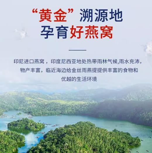 【原产地溯源】印尼雨季头期 半干挑S级金丝燕燕窝干盏 礼盒装 央企同源工厂 CAIQ中科溯源码认证 商品图1
