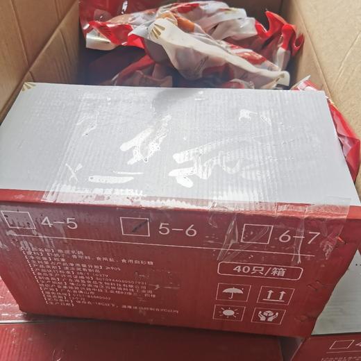 2只装脆皮乳鸽【2A3下-3F】 商品图2