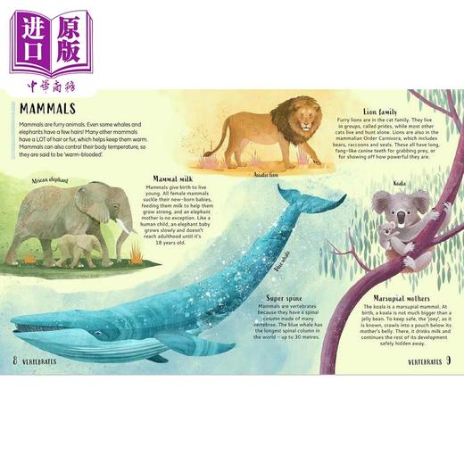 【中商原版】整理动物 对动物世界进行分类 Get Your Animals in Order 英文原版 儿童科普绘本 自然科学知识百科图画书 精装 商品图1