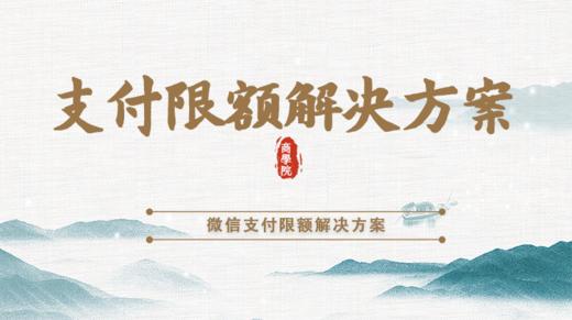 支付限额解决方案 商品图0