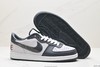 耐克Nike Terminator Low OG低帮复古休闲运动板鞋FQ8127-030男女鞋 商品缩略图4