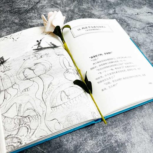 奇波力部落（激发孩子阅读兴趣，尽显文学和阅读的魔力）(大卫·内尔洛) 商品图2