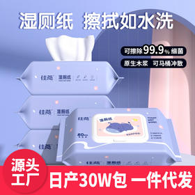 湿厕纸可直接冲马桶独立大包装擦屁股湿纸巾便携抑菌洁厕纸湿厕巾