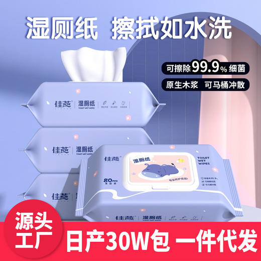 湿厕纸可直接冲马桶独立大包装擦屁股湿纸巾便携抑菌洁厕纸湿厕巾 商品图0