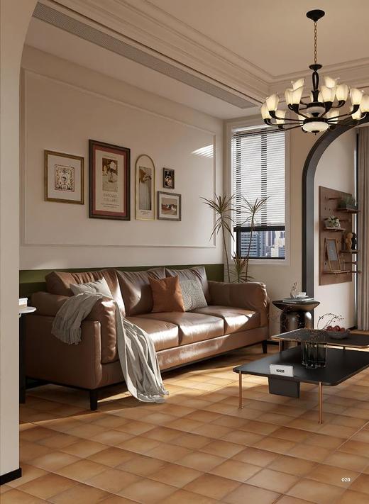 CHA-R14 200*200mm 哑面花砖 商品图1