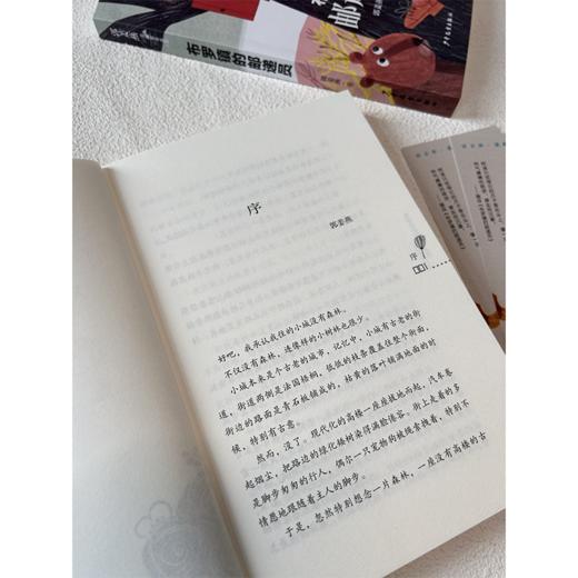 《布罗镇的邮递员》 商品图1