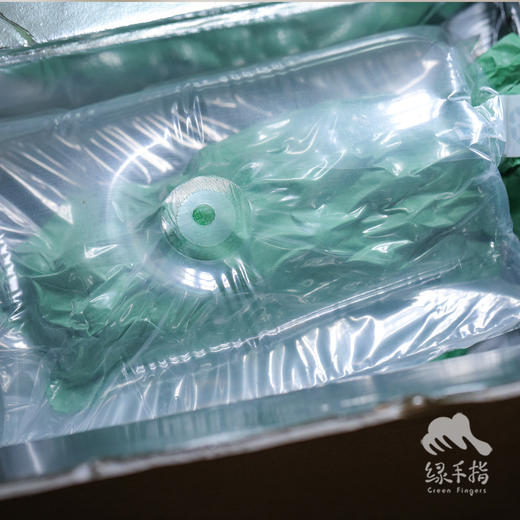 有机葡萄 | 合作生产 * Organic Grapes | Partner Production 商品图3