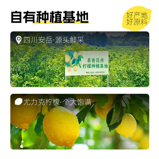 喜善花房冻干柠檬片泡水喝无蜂蜜柠檬片柠檬干即食冷泡水果茶维c 商品图1