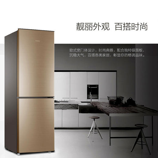 海尔（Haier） 189升双门冰箱家用小型两门冷藏冷冻租房节能经济型电冰箱 BCD-189TMPP 商品图1