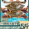 【顺丰新鲜发货！新鲜捕捞梭子蟹】"只只精选“ 人工挑选的大好蟹，肉质紧实有弹性，美味停不下来，六月黄新鲜大闸蟹L 商品缩略图0