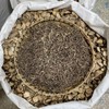 姜味草 商品缩略图2