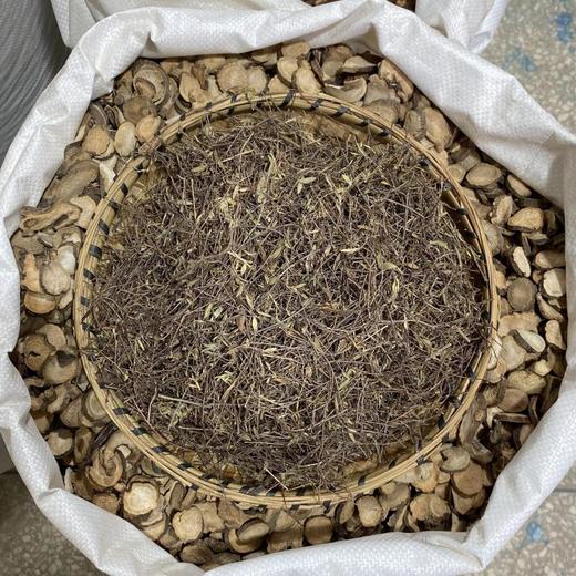 姜味草 商品图2