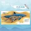 鲸的五千万年  一本跨越五千万年的绘本，走进鲸的世界，探索深海奥秘，体验进化之旅。4-6-8岁小天角轻科普((日) 水口博也 著 ) 商品缩略图1