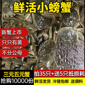 【新鲜直达！六月黄鲜活小螃蟹】蟹黄饱满，壳薄肉嫩多汁，鲜香好滋味，现货河蟹大闸蟹L