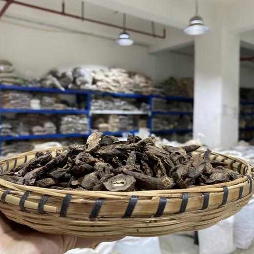 虎掌草 商品图1