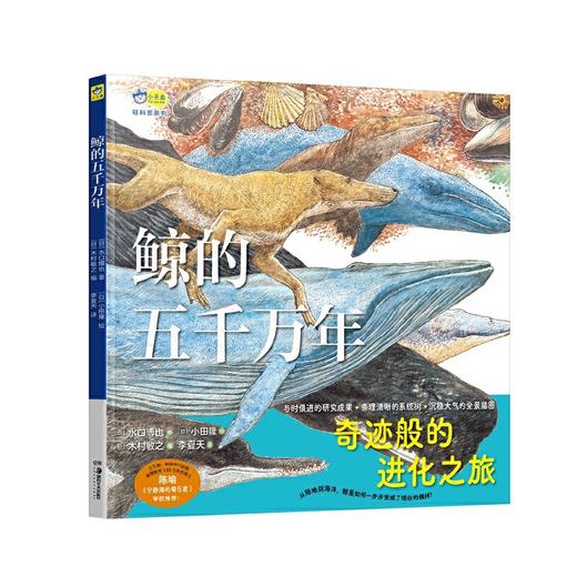 鲸的五千万年  一本跨越五千万年的绘本，走进鲸的世界，探索深海奥秘，体验进化之旅。4-6-8岁小天角轻科普((日) 水口博也 著 ) 商品图4
