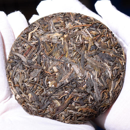 【新品首发】老班章·王！2024年头春头采，500年以上古树纯料！老班章茶农25号自家茶王地古树原料！满级茶气，兰花香亟浓郁！100克/片！ 商品图2