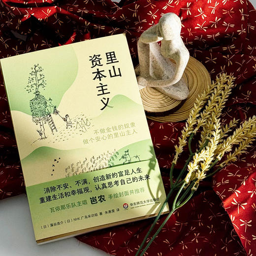 里山资本主义 不做金钱的奴隶 做个安心的里山主人 商品图3