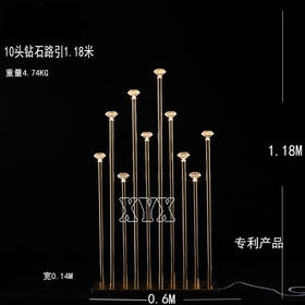 10头钻石路引（运费自理）