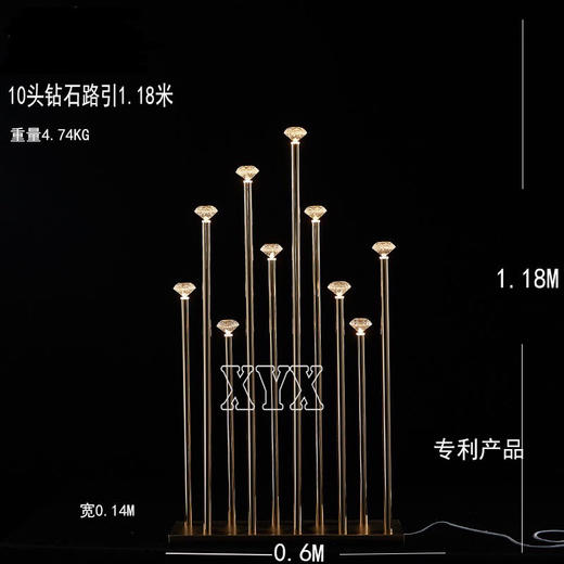 10头钻石路引（运费自理） 商品图0