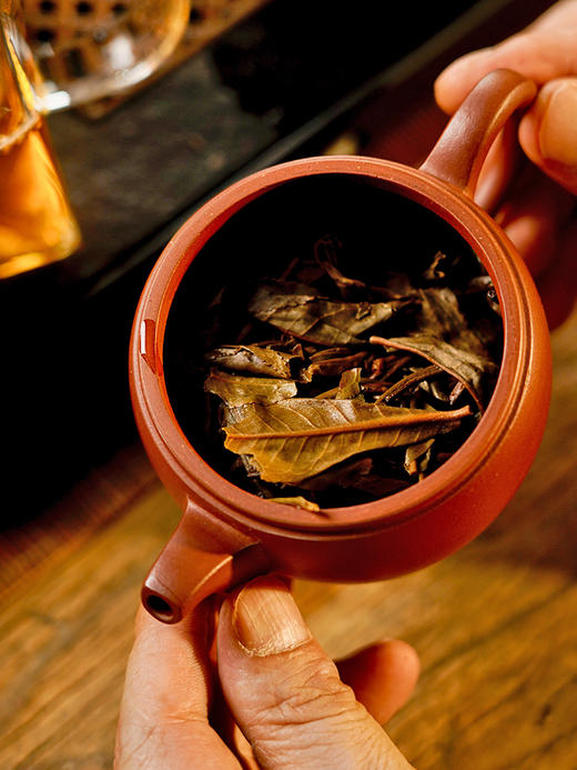 【掌柜私藏老班章】2015年头春勐海普洱茶生茶超大古树‘茶中劳斯莱斯’山头茶的顶峰 357克/饼茶 单饼铁盒装 5饼/提高端礼盒装 拍5发6拍20发25 商品图7