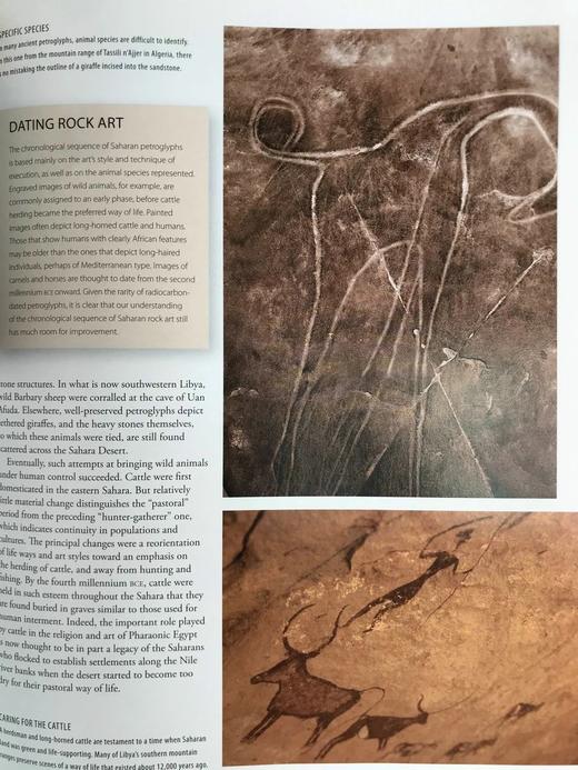 世界考古百科全书 700余幅插图 精装大16开 商品图13