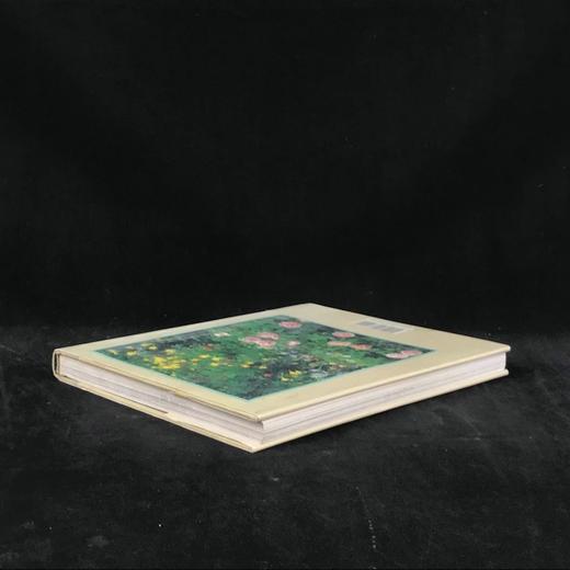 世界园林艺术与实践 数百幅插图 精装16开 商品图2