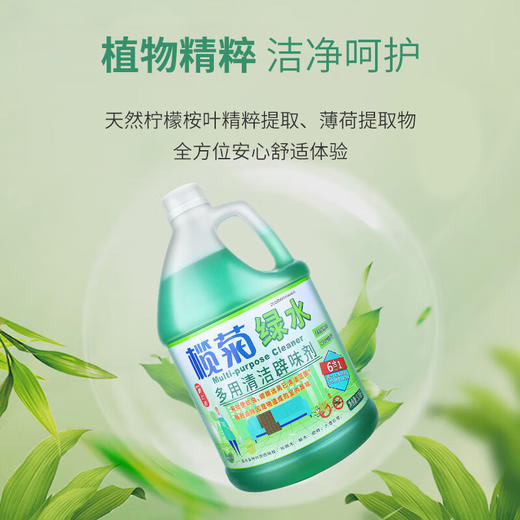 榄菊绿水3.78L地板清洁剂薄荷辟味地板水拖地清洁剂 植物防叮 商品图4