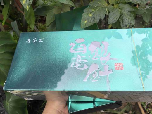 35      老茶工监制！早春白毫银针，便携，好喝，一款不挑人的茶！初尝清新舒怡，久放陈香浓郁！ 商品图0