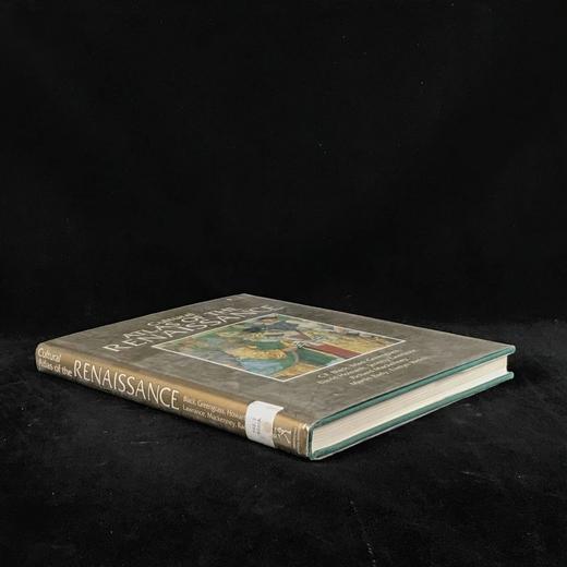 文艺复兴时期文化图集 数百幅插图 精装大16开 商品图1