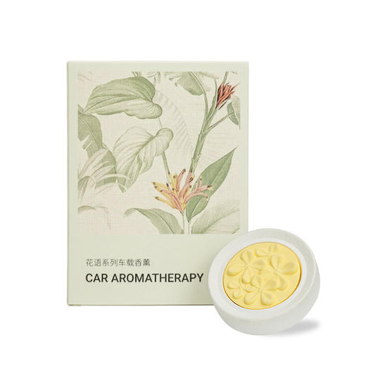 【车载出风口香薰】高级感香薰片 伴手礼内搭去异味香氛 香水持久留香 送朋友礼物 商品图9