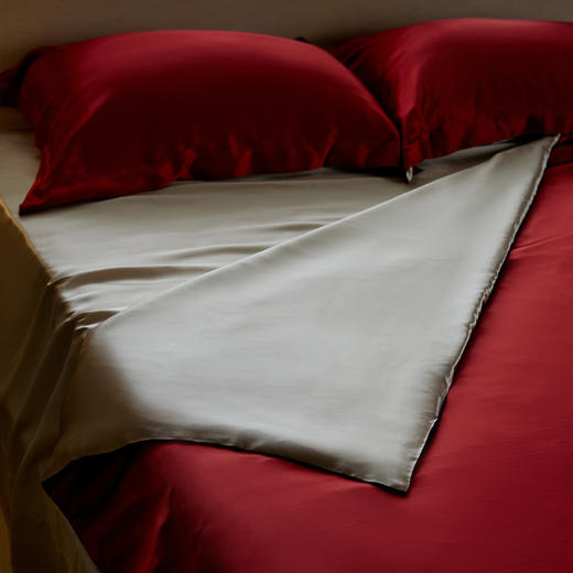 金三塔纯色简约时尚撞色 重磅真丝四件套 丝滑凉感桑蚕丝床品  CSTJ054 商品图3