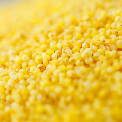 今粮道石磨小米2.5kg（礼盒款） 商品图1