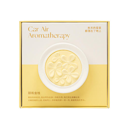 【车载出风口香薰】高级感香薰片 伴手礼内搭去异味香氛 香水持久留香 送朋友礼物 商品图4