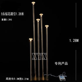 5头钻石路引（运费自理）