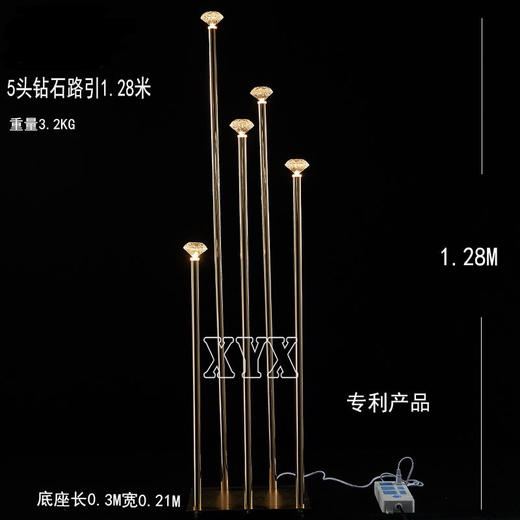 5头钻石路引（运费自理） 商品图0