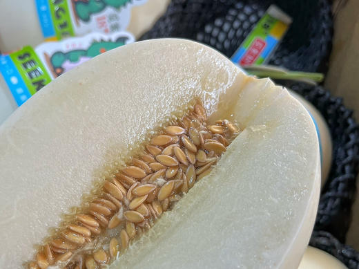 【白金蜜瓜 脆甜】白金蜜瓜白皮白肉，肉质口感脆，水分足，甜度好，吃口清爽解渴，时令好瓜！ 商品图3