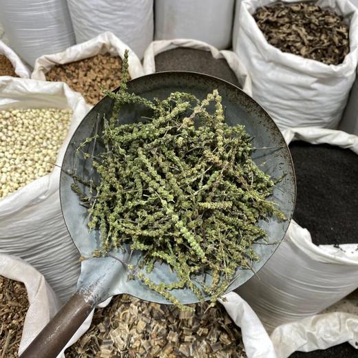 荆芥  荆芥穗 商品图7
